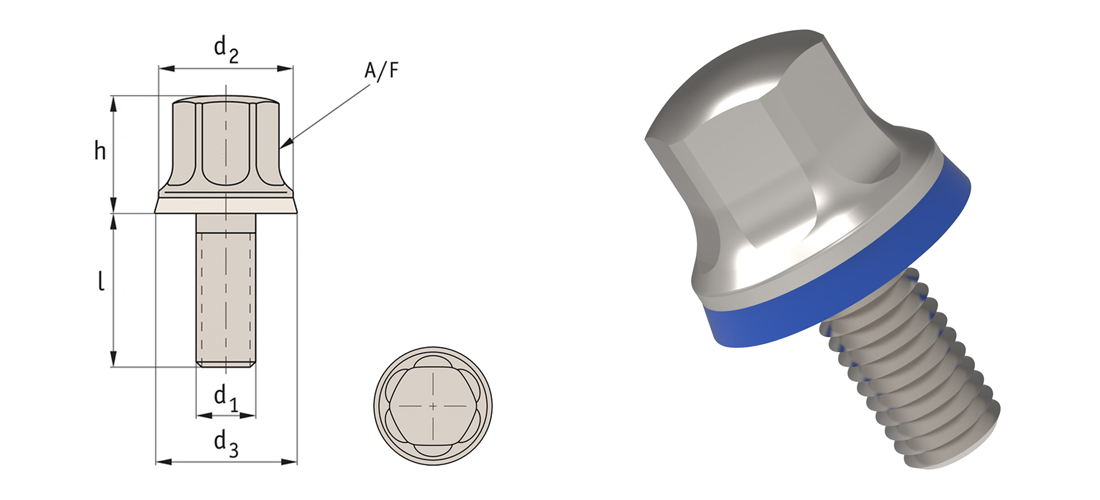 Automotion Hygienic Screws