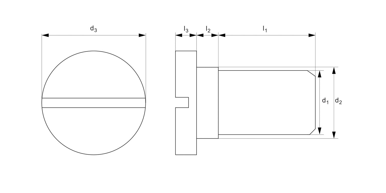 P0204.A2 Metric Ultra Low Slotted Cap Head Screws