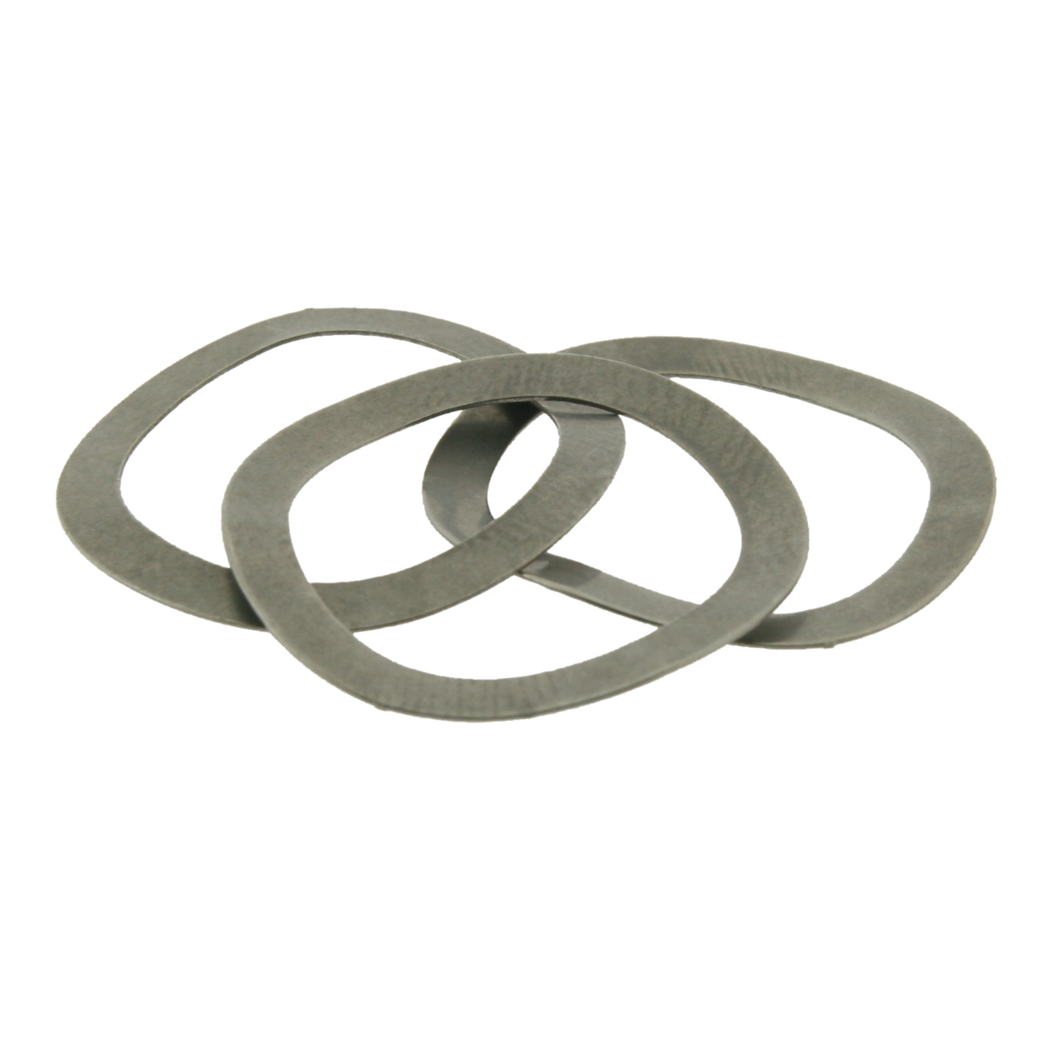 P1300 Bearing Preload Springs