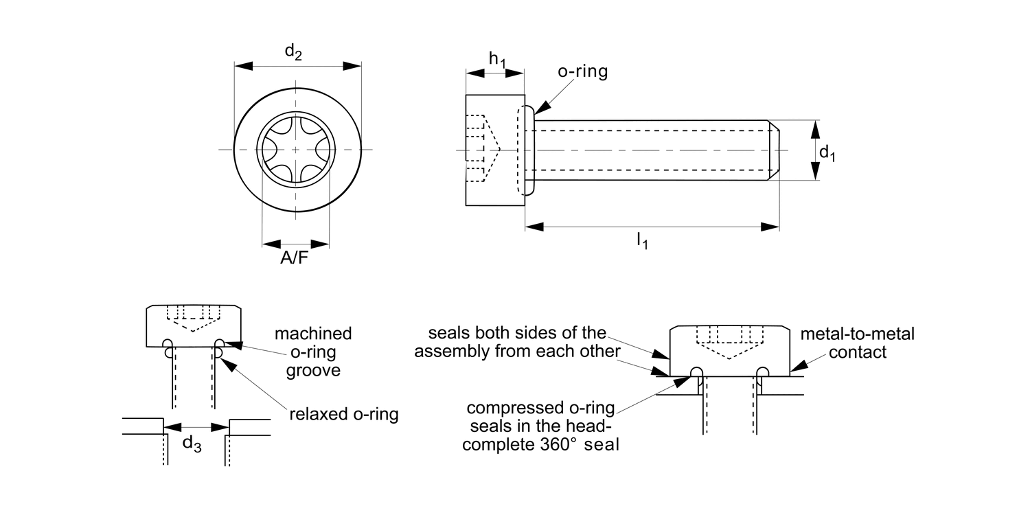 P0185 Cap Head Seal Screws