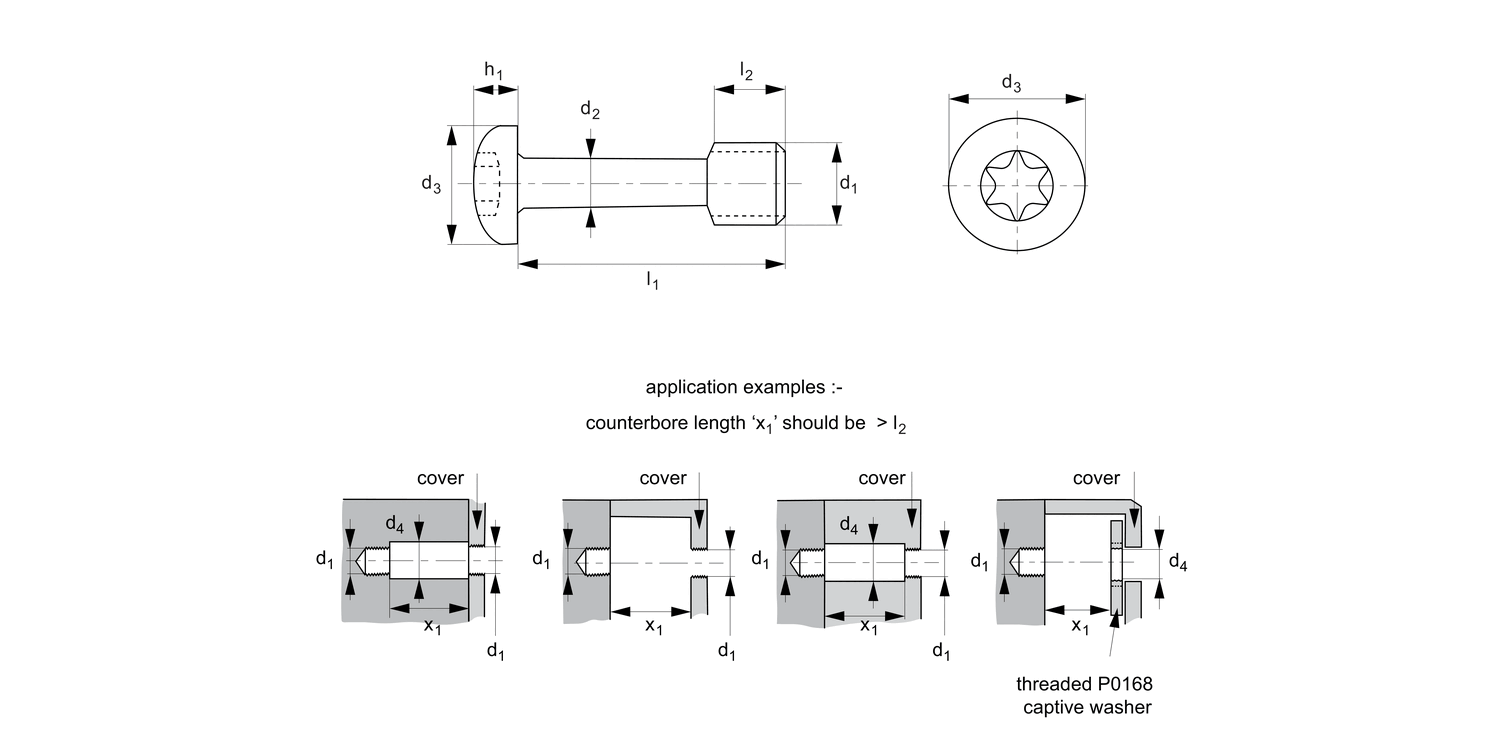 P0150.B4 Captive Screws - Pan Head