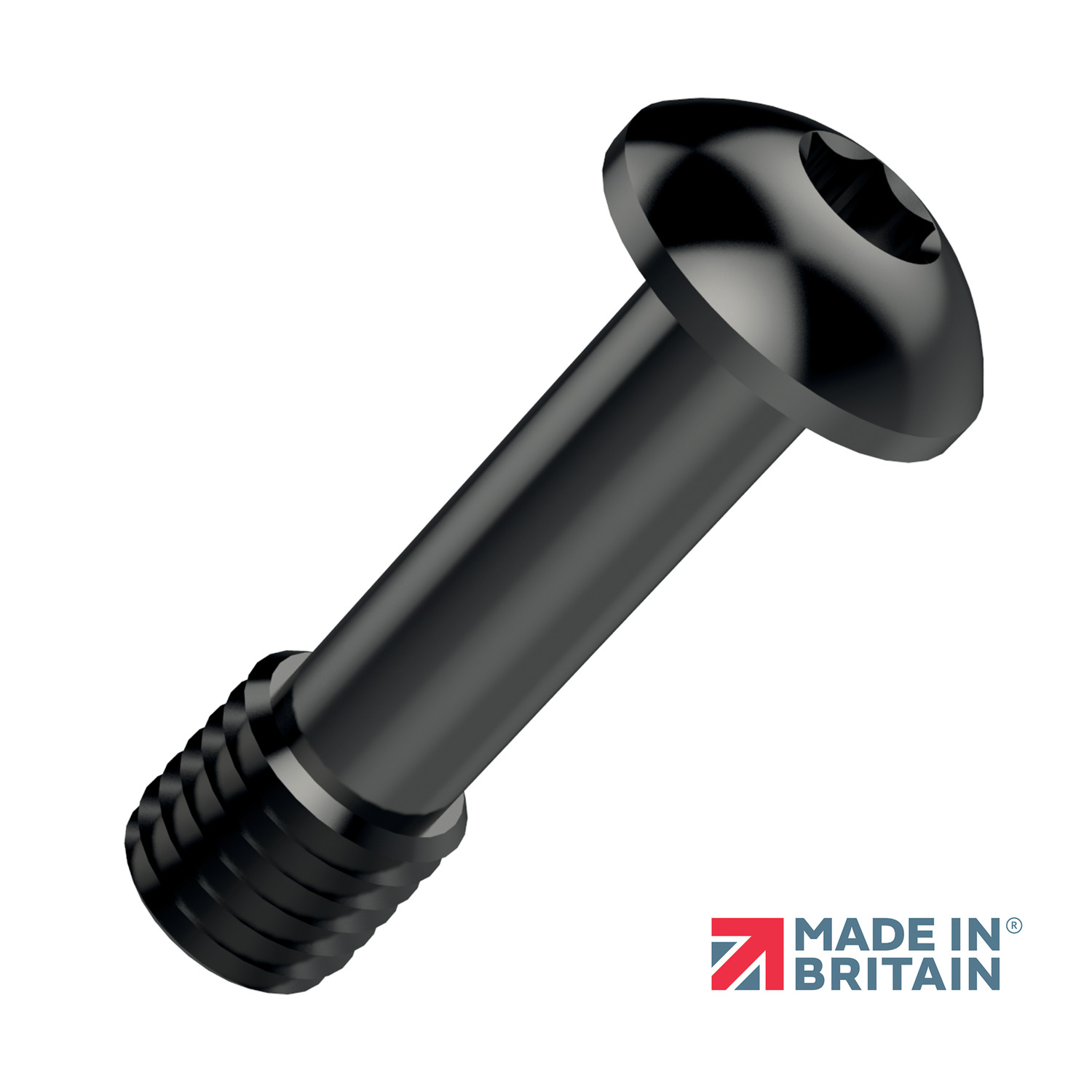 Blackened Captive Screws