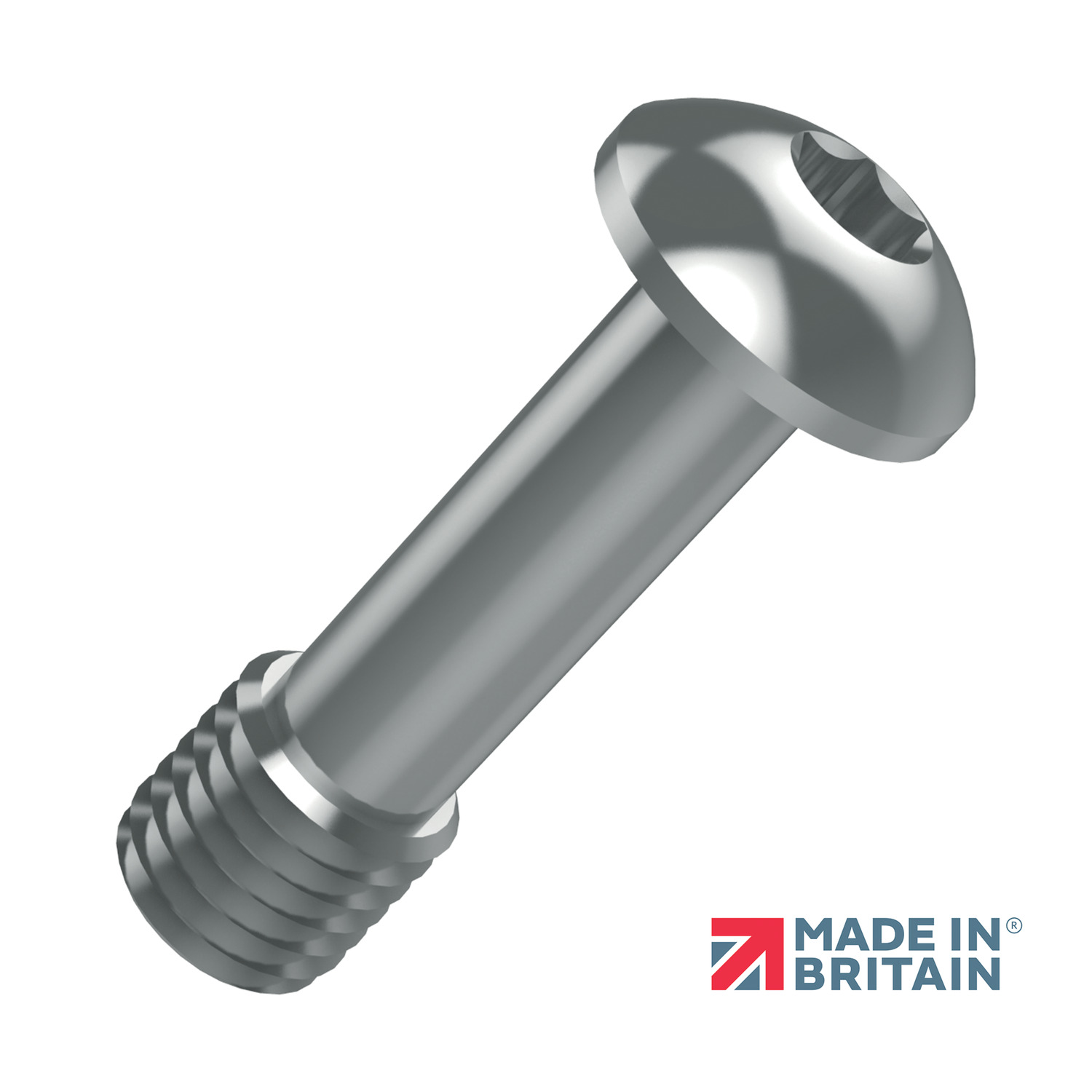 Titanium Captive Screws