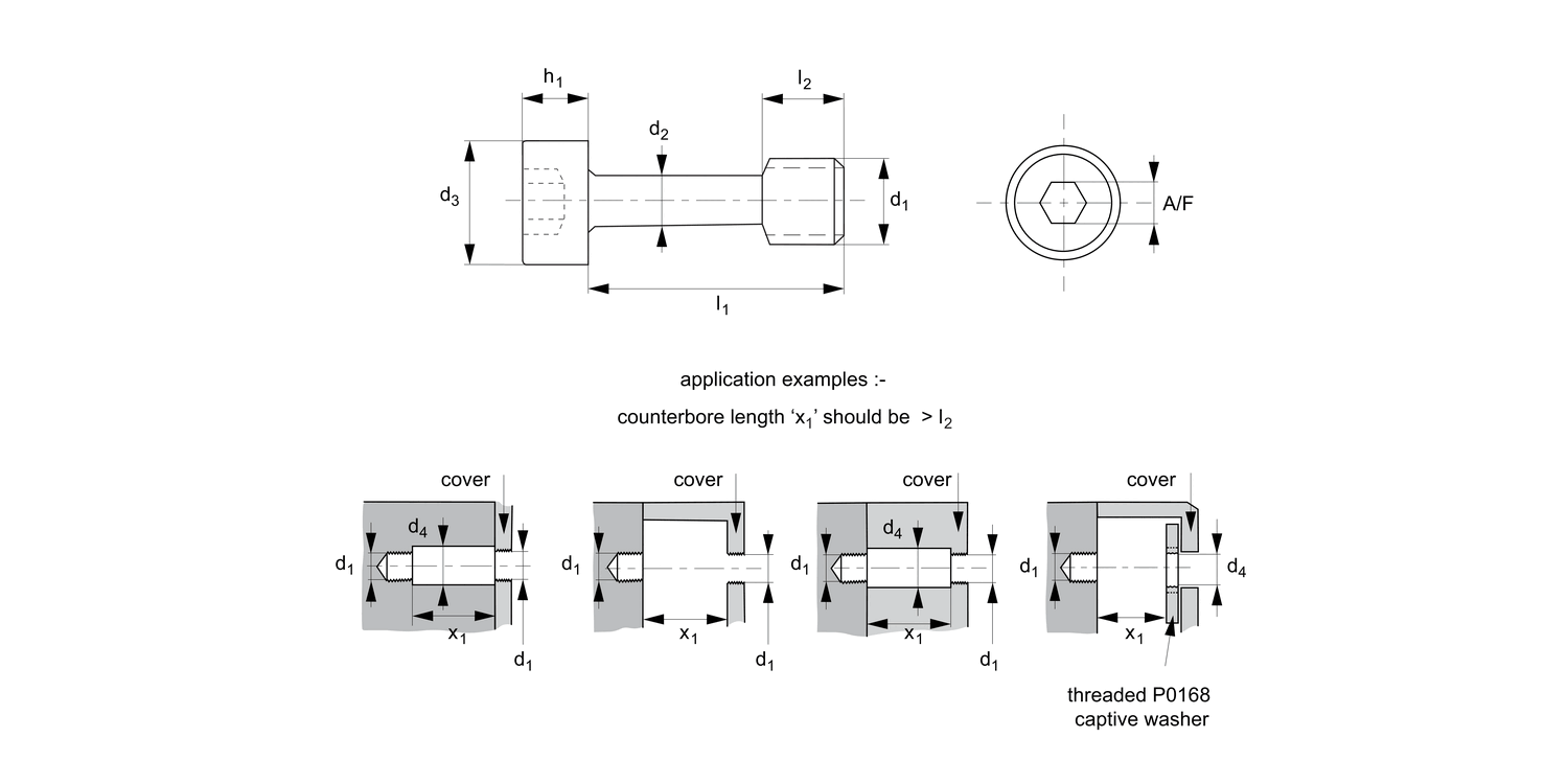 P0154.Ti Captive Screws - Cap Head