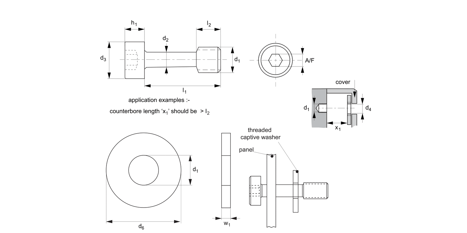 P0163.A2 Captive Screws with Washer