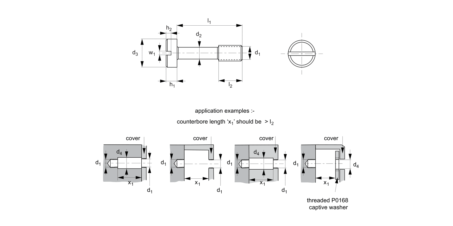 P0155.Ti Captive Screws - Cheese Head