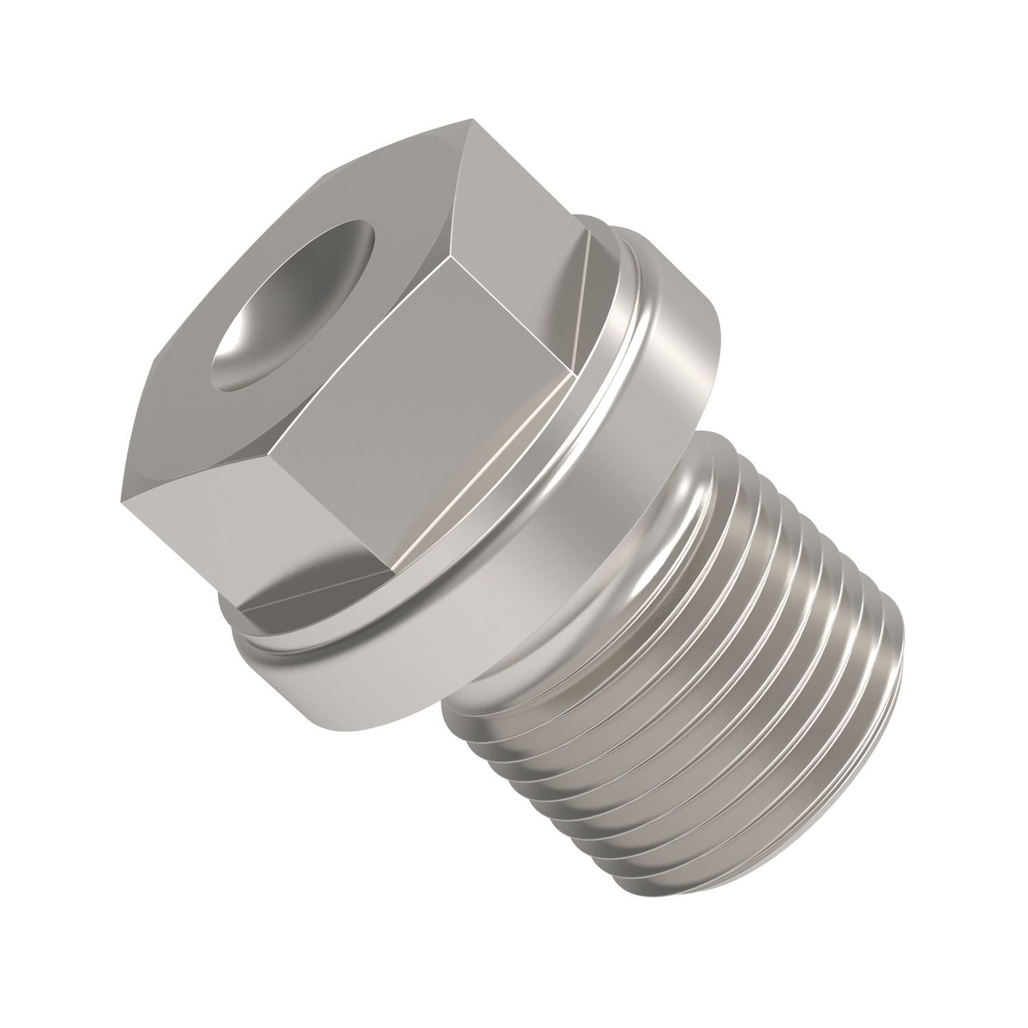 Blanking Plugs