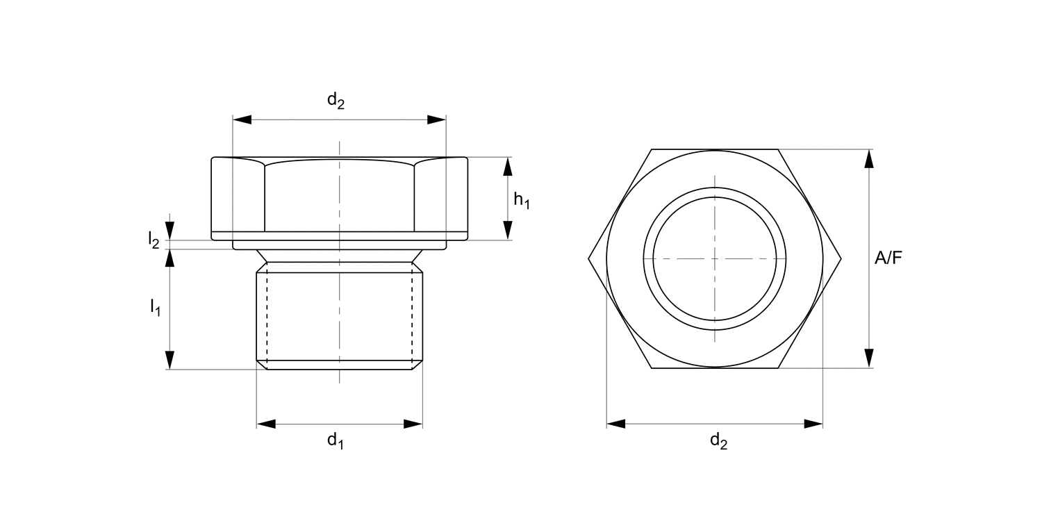 P0187 Hexagon Blanking Plugs