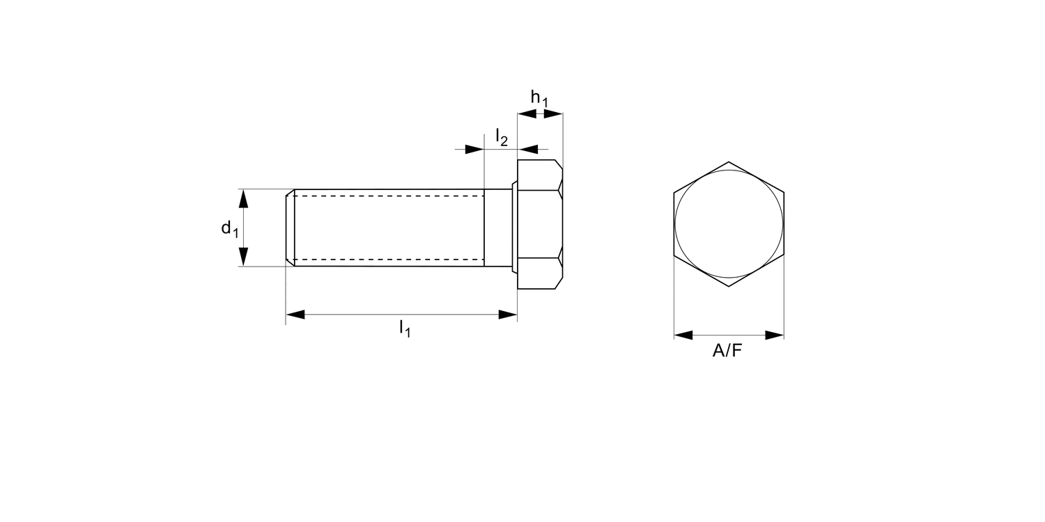 P0501.NP Hexagonal Head Set Screw