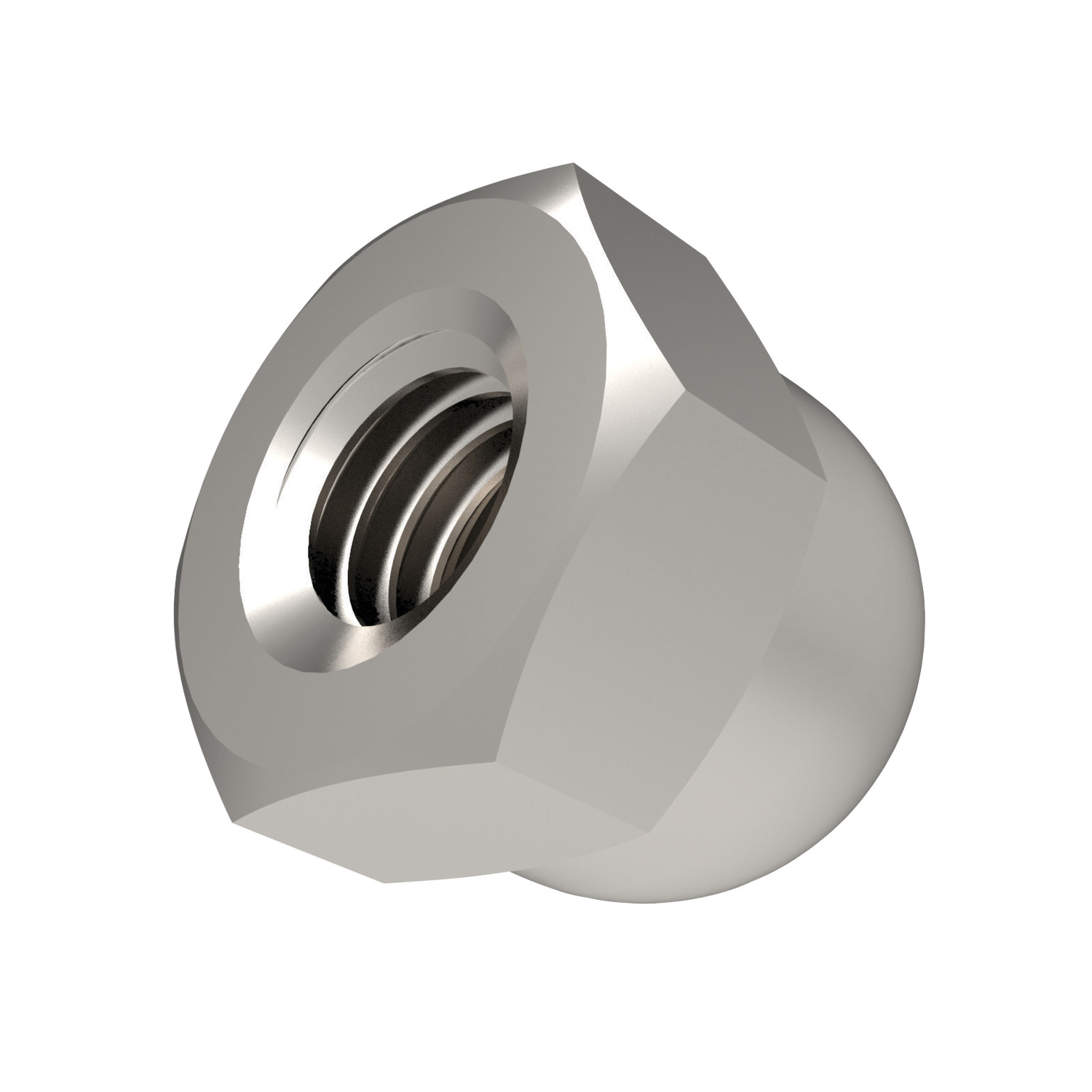 Product P0318.A2, Hexagon Domed Nuts A2 Stainless / 