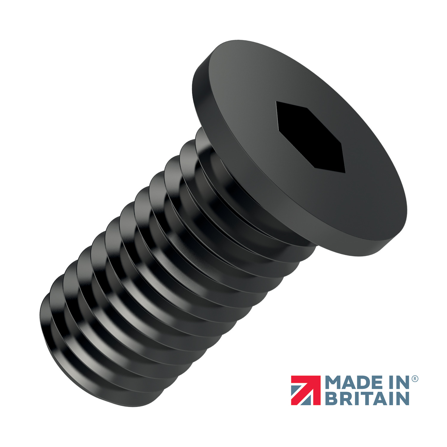 Product P0207.B2, Extra Low Head Cap Screws hex. drive - 303 series stainless - blackened / 