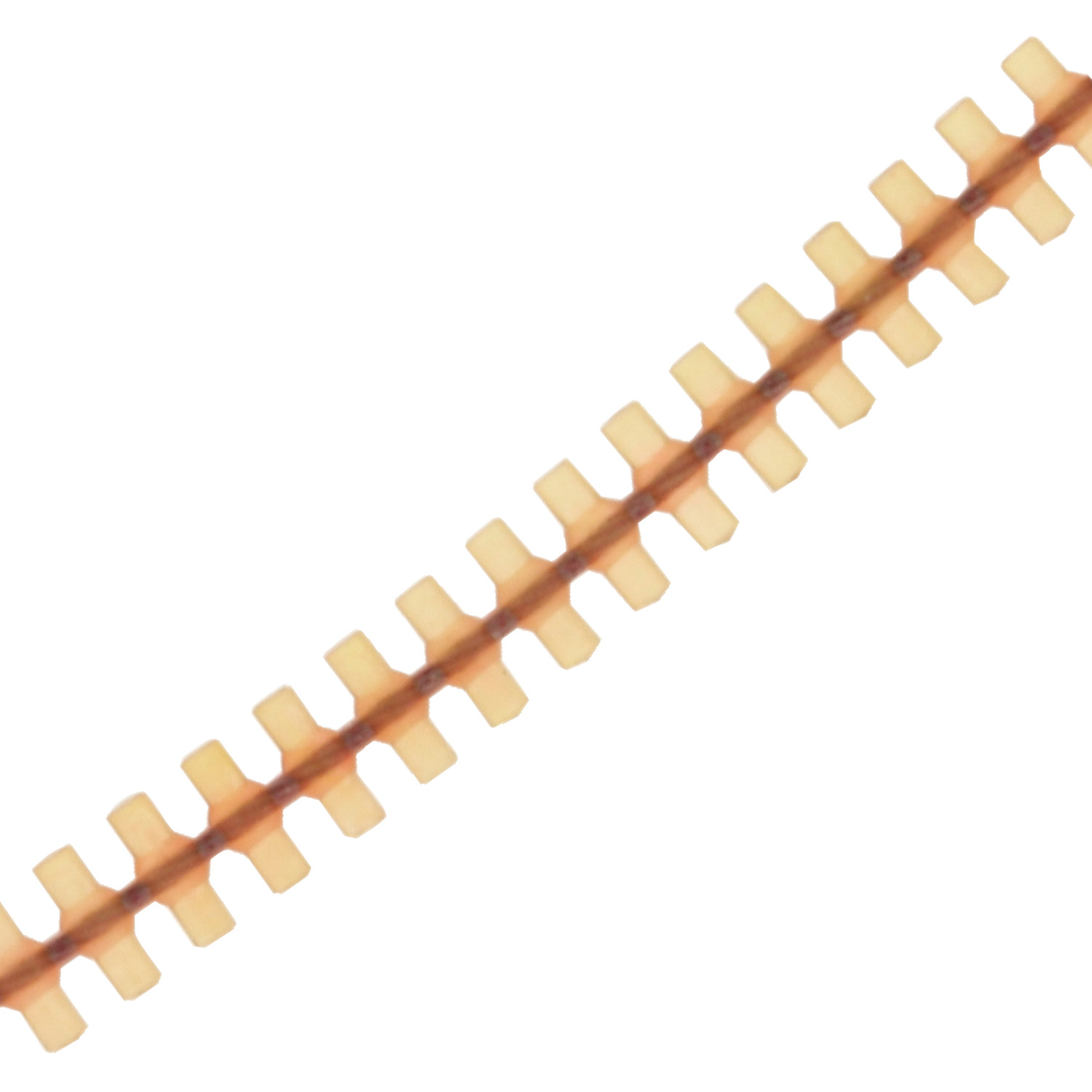 R1025 Gear Drive Belts Automotion