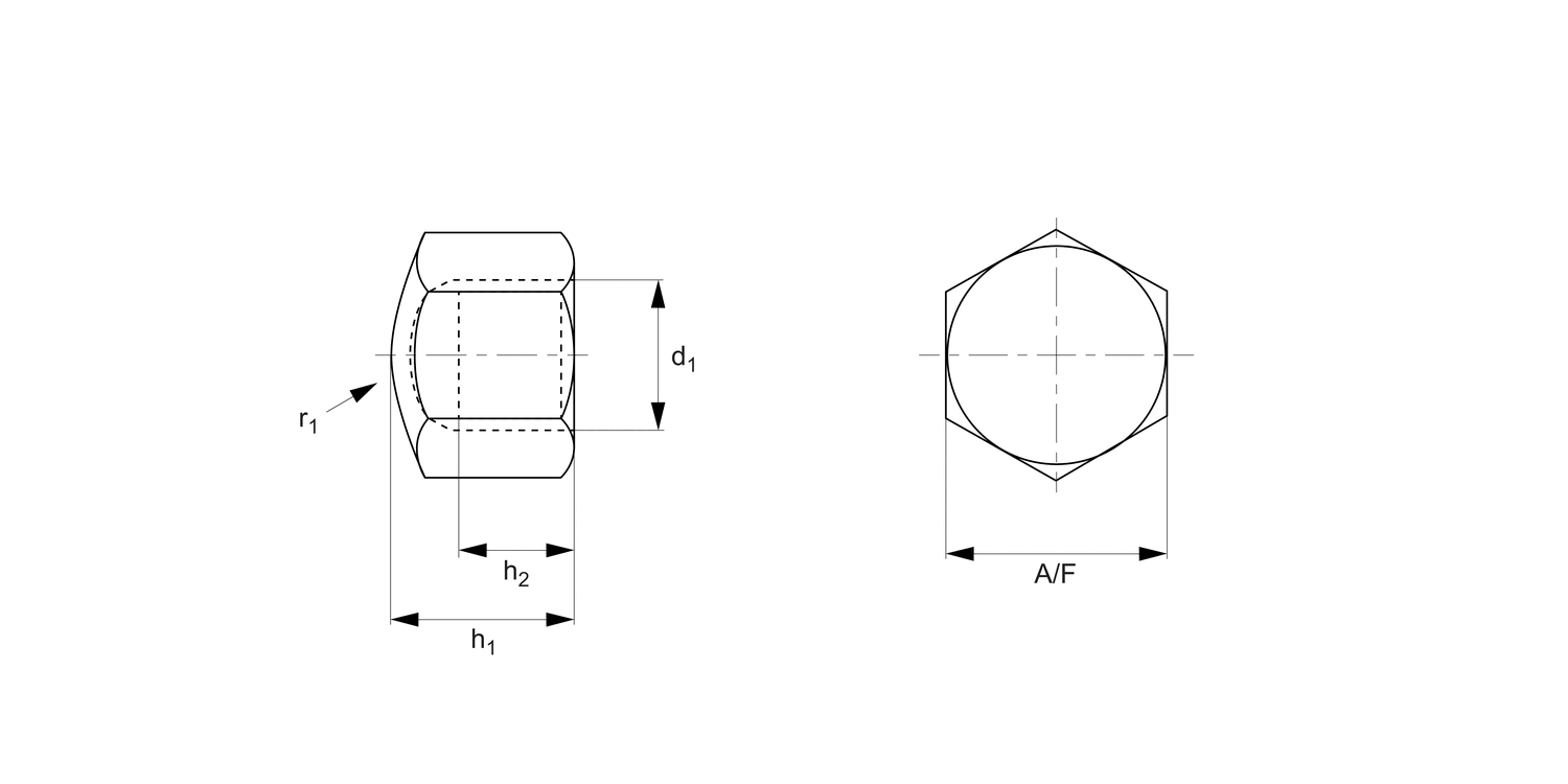 P0317.ZP Hexagon Cap Nuts