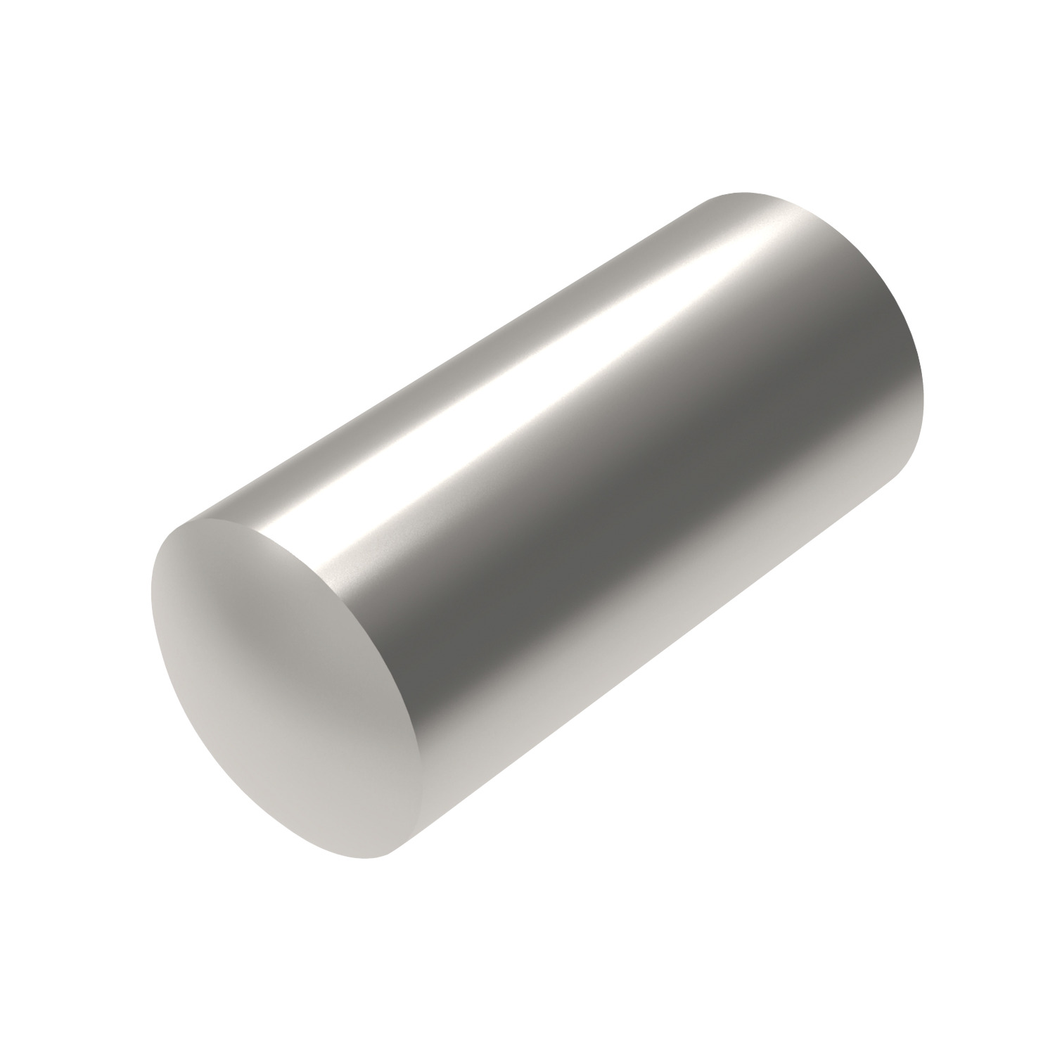 P1207 Stainless Dowel Pins