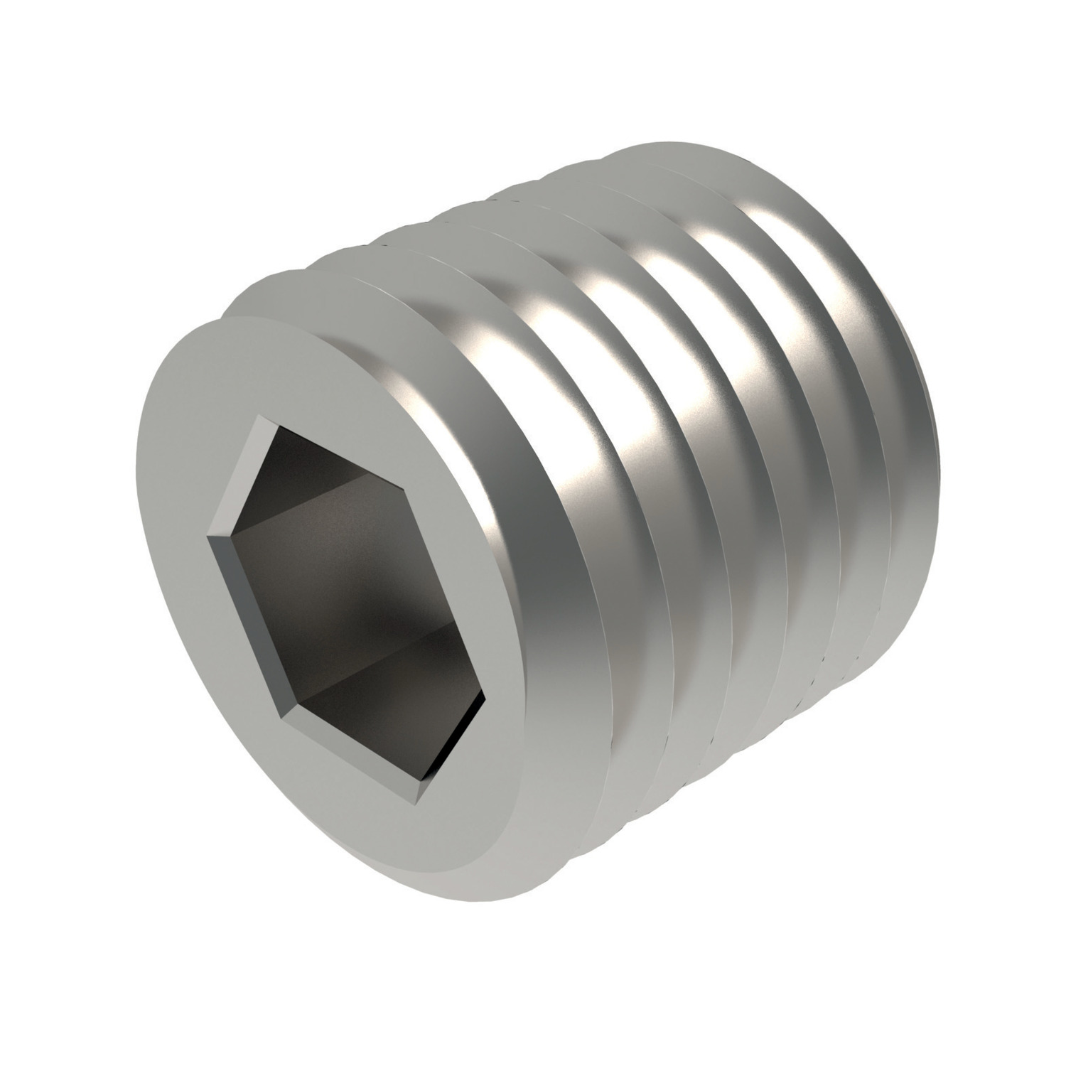 Product P0199, Metric Threaded Restrictors Stainless Steel / 