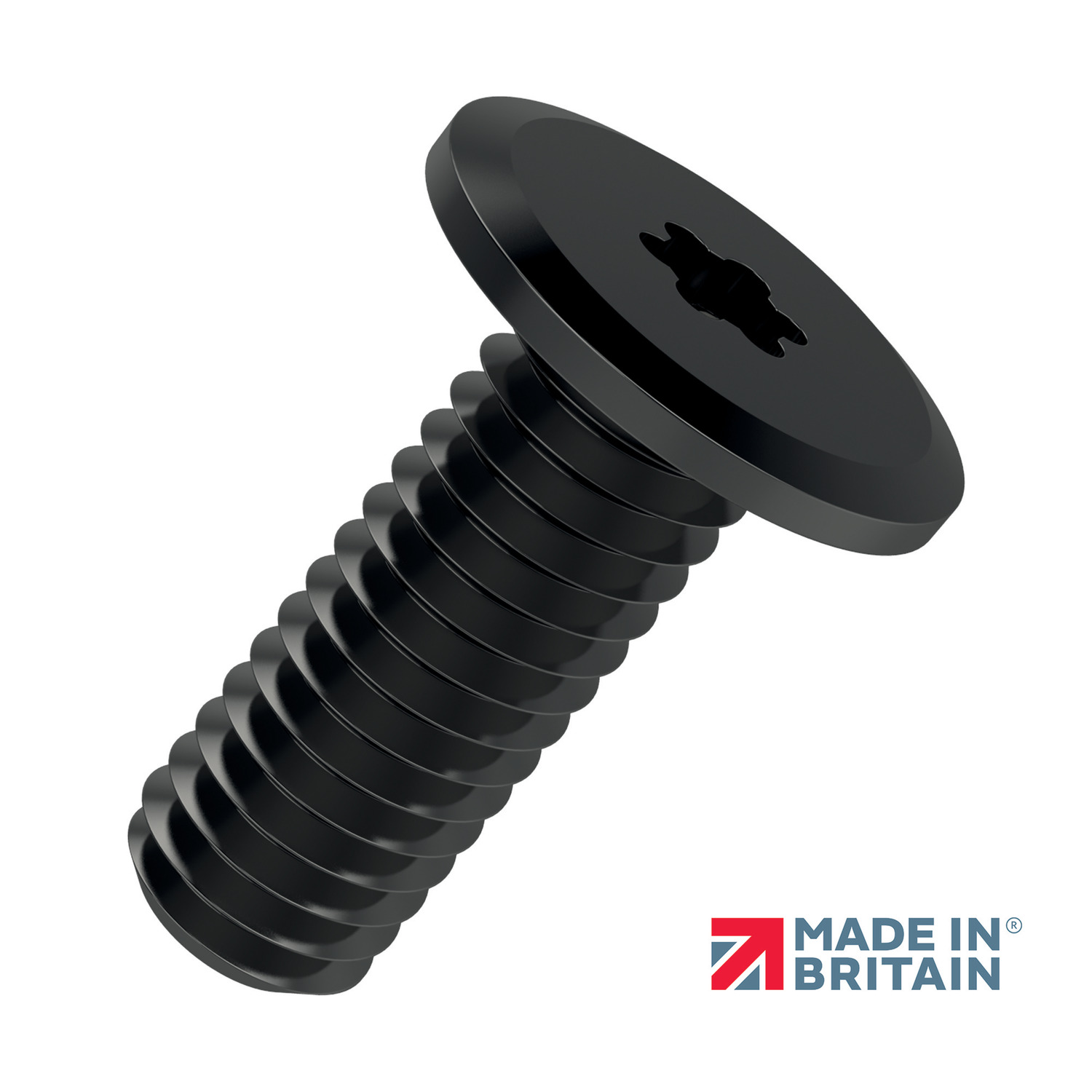 P0209.B4 Ultra Low Head Cap Screws