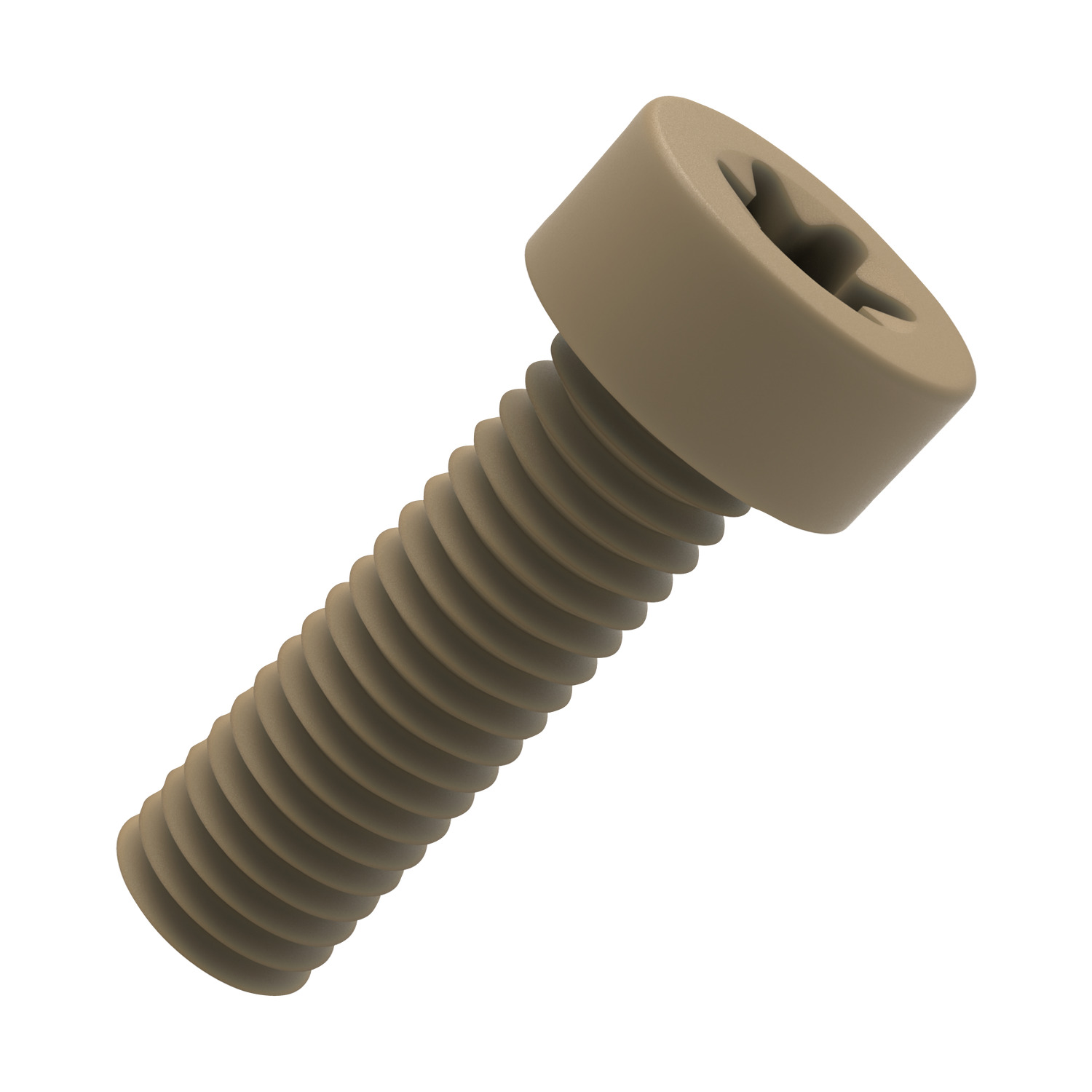 Torx Low Cap Head Screws