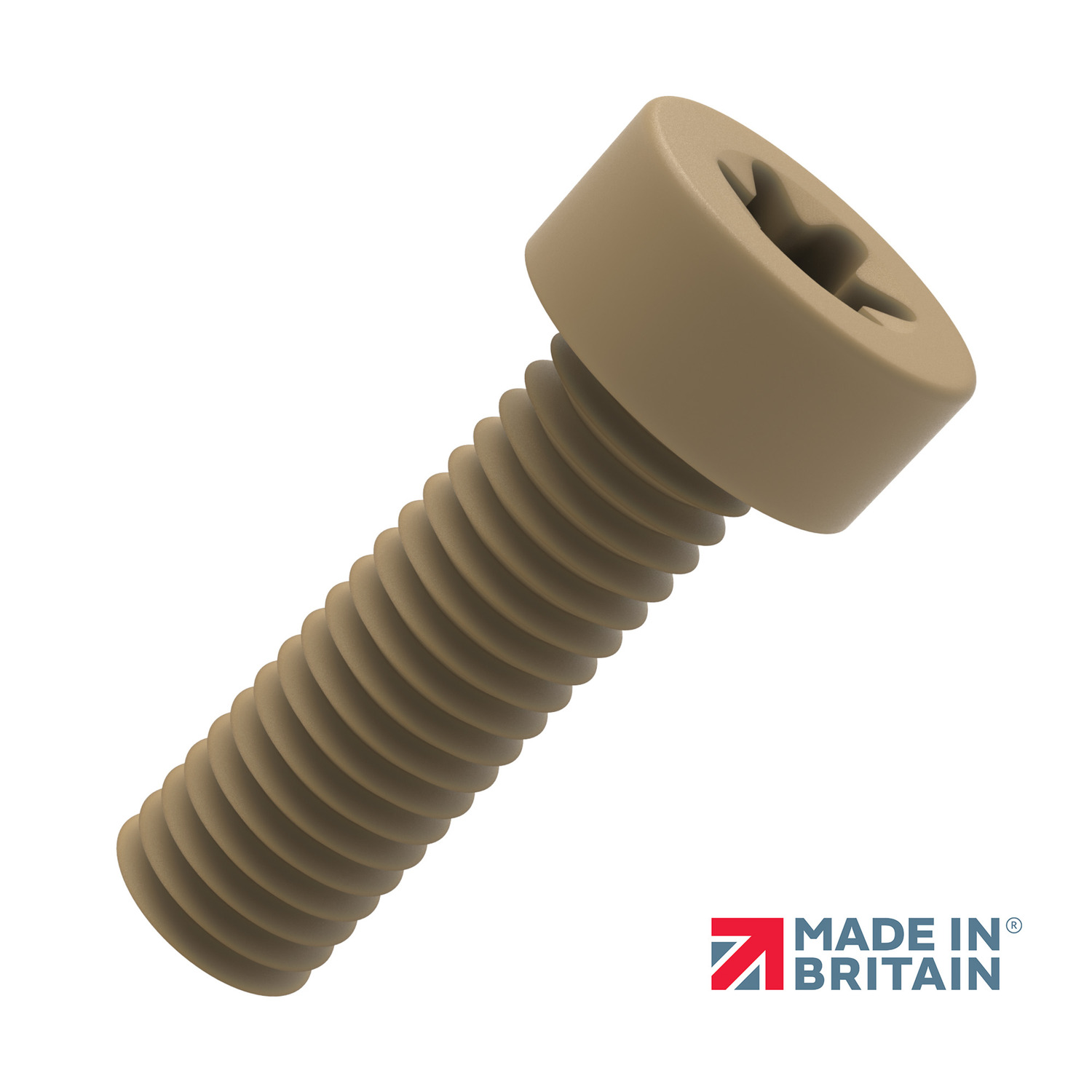 P0509.NP Torx Low Cap Head Screws