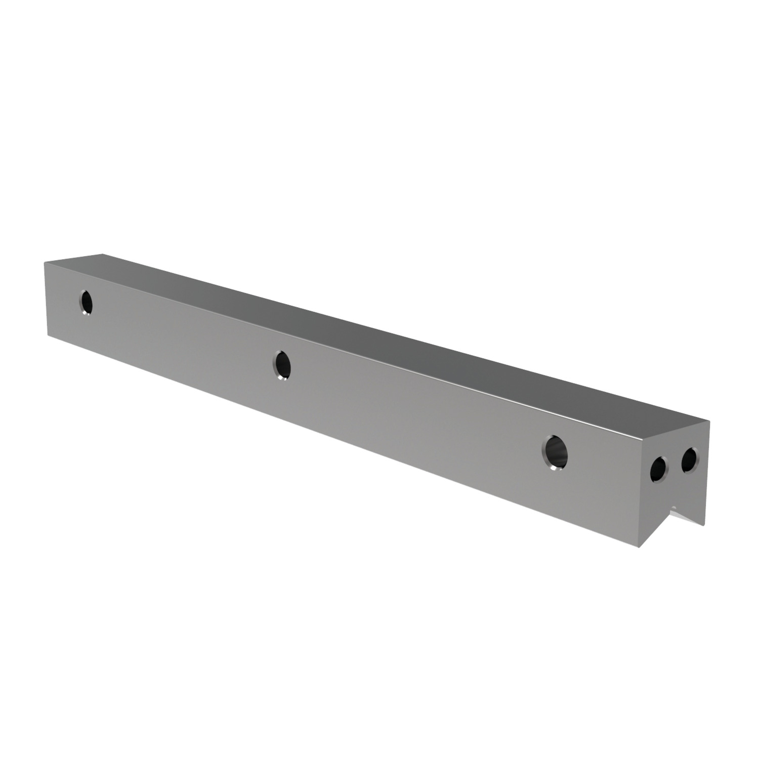 L1004.M - Needle Roller Rail Sets - M rail