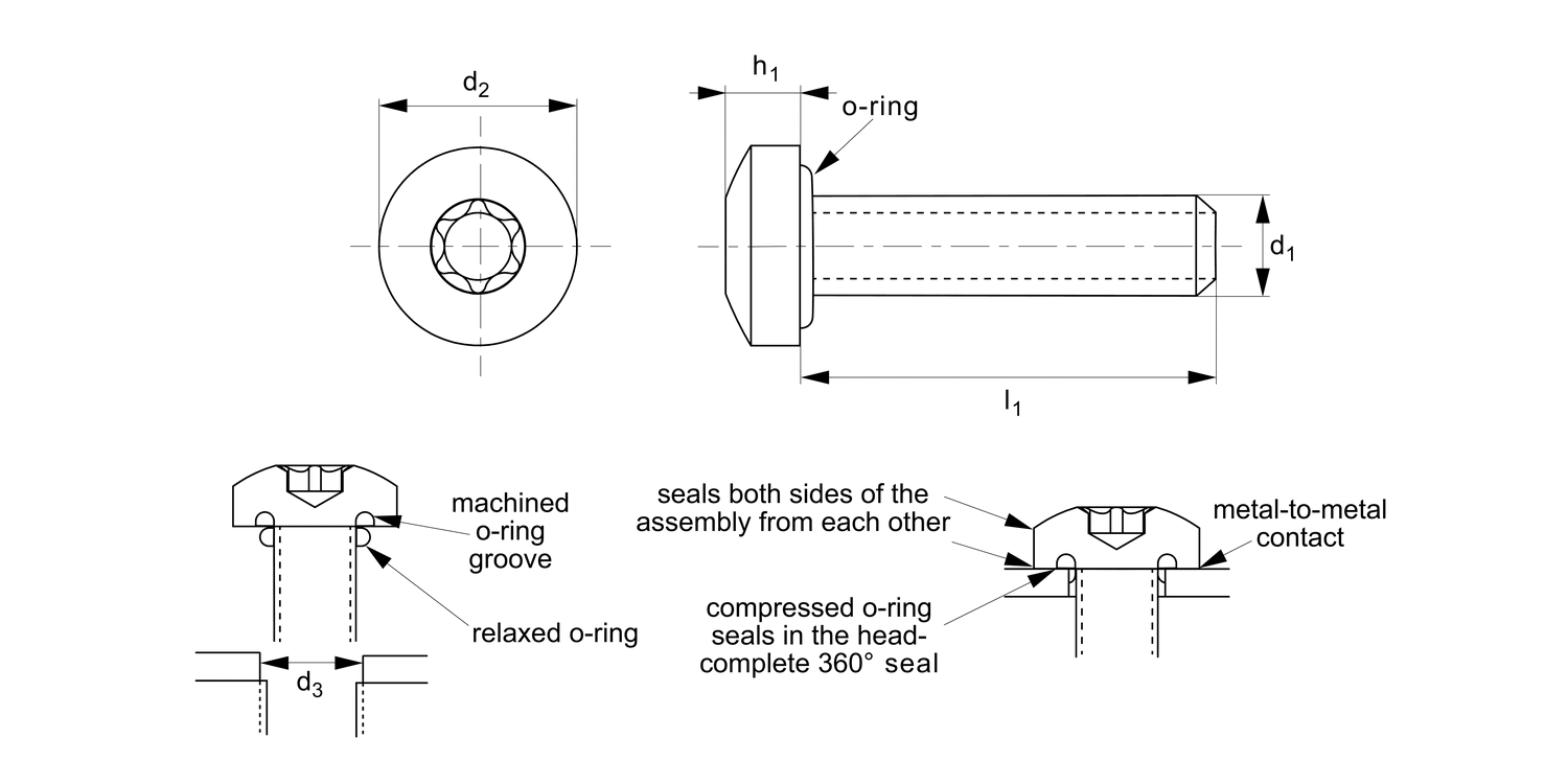 P0172 Pan Head Seal Screws