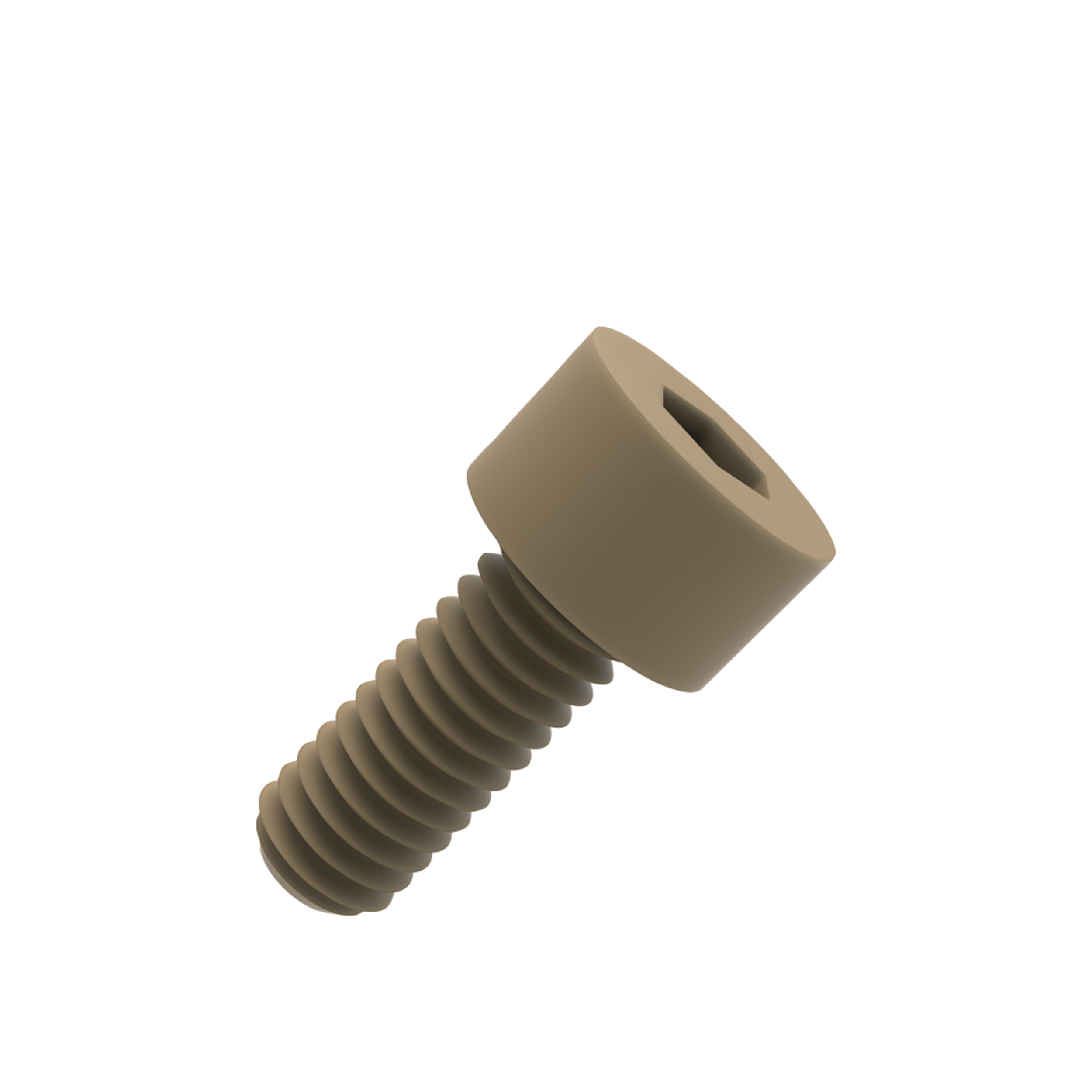 PEEK Fasteners
