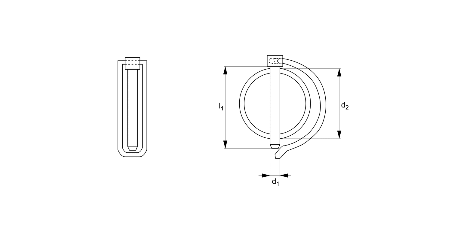 P1248 Shaft Locking Pins