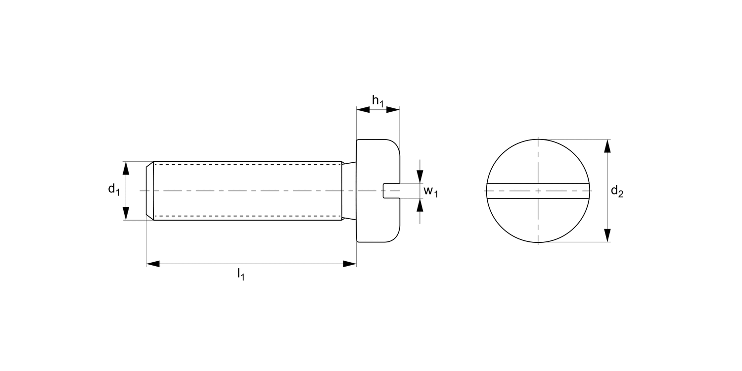 P0230.A4 Slot Pan Head Screws