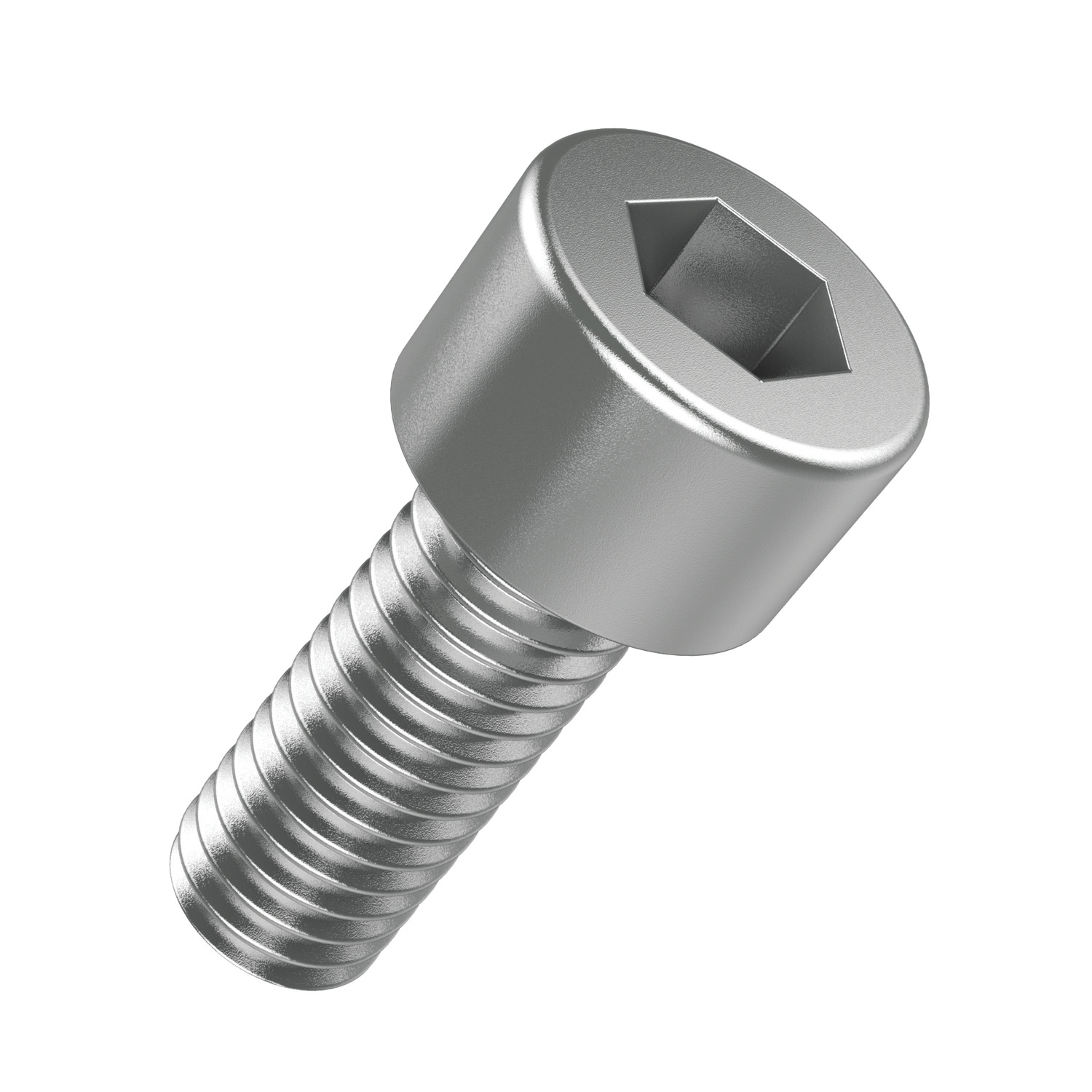 P0100.080-100-G2 Socket cap screw DIN 912 M8x100 G2 Socket Cap Screw DIN 912 M10x10. Titanium Ti-G2. Finish: Natural.