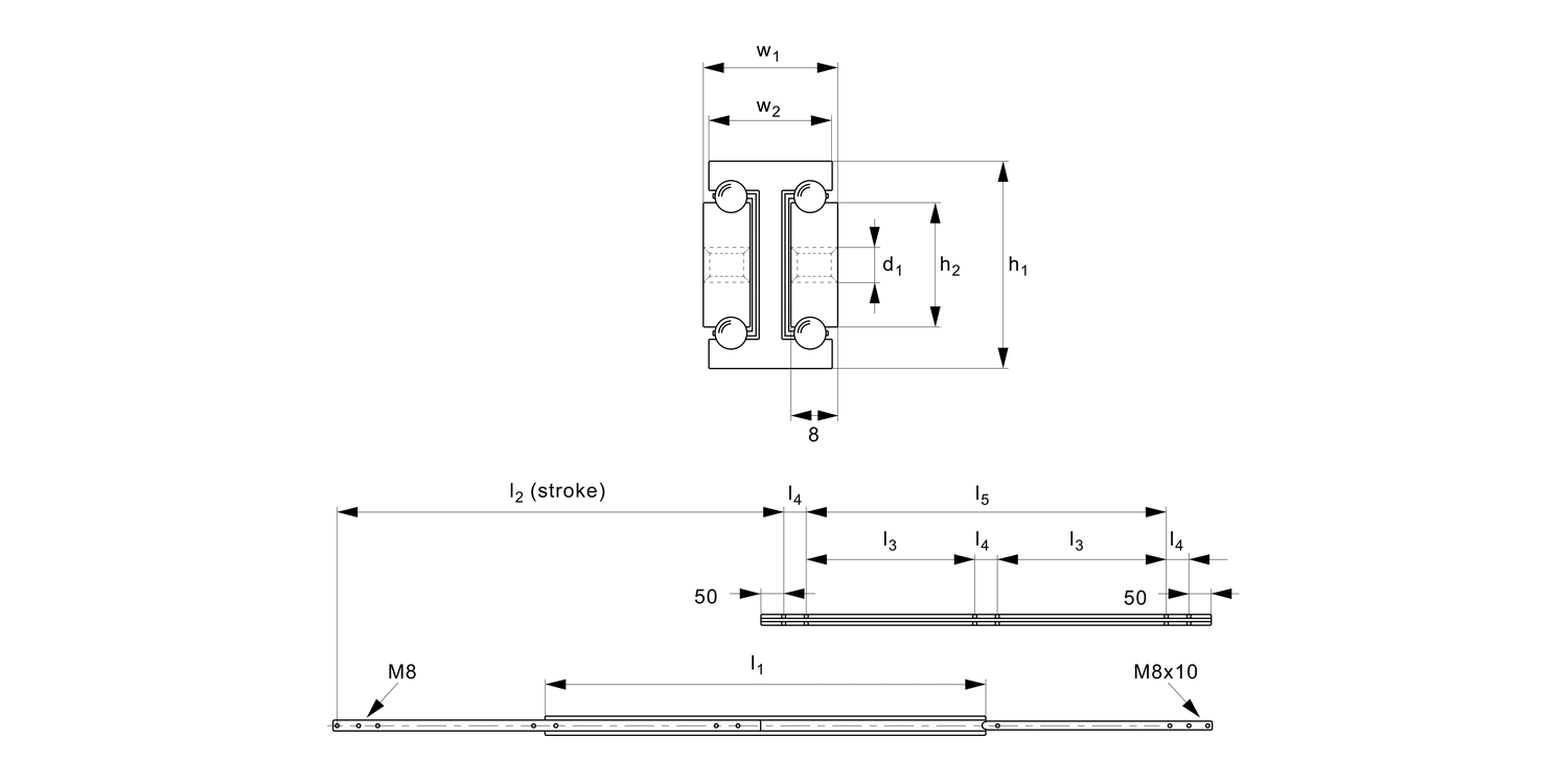 L2052 Stainless AISI 316 Slides