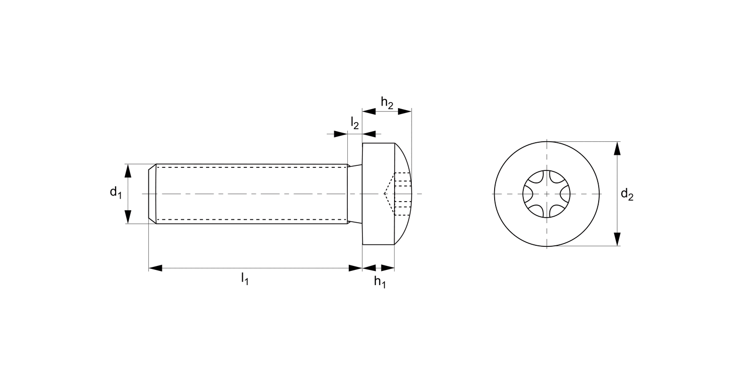P0236.ZP TX Pan Head Screws