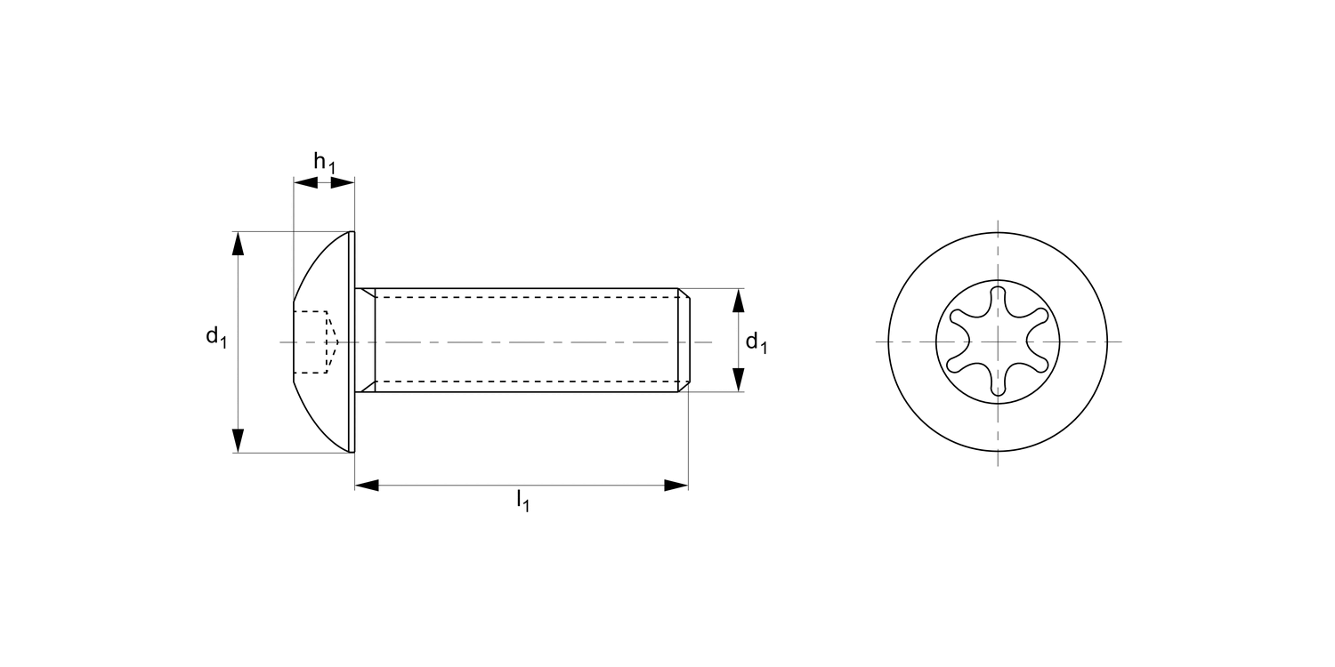 P0217.A2 Pin TX Security Screws