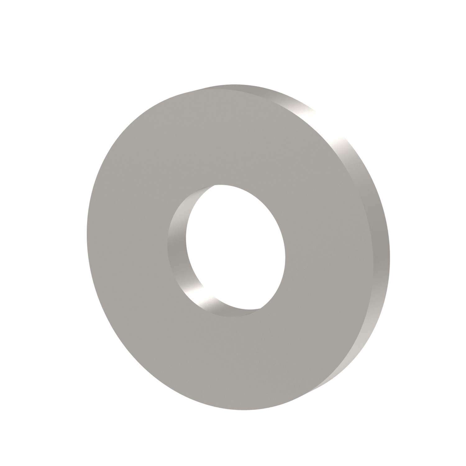 P0109.030-F-G2 Titanium Washers