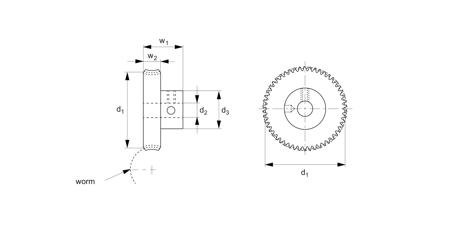 R2138 0,8 Module Precision Worm Gears